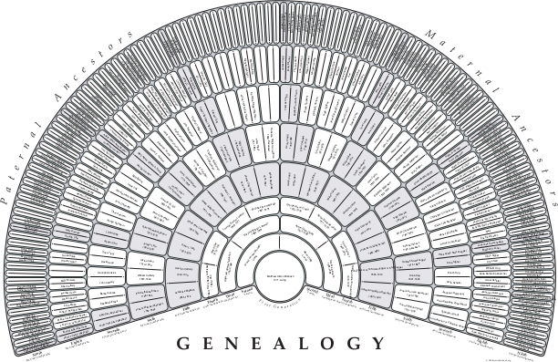 Genealogy Fan Chart Black and White